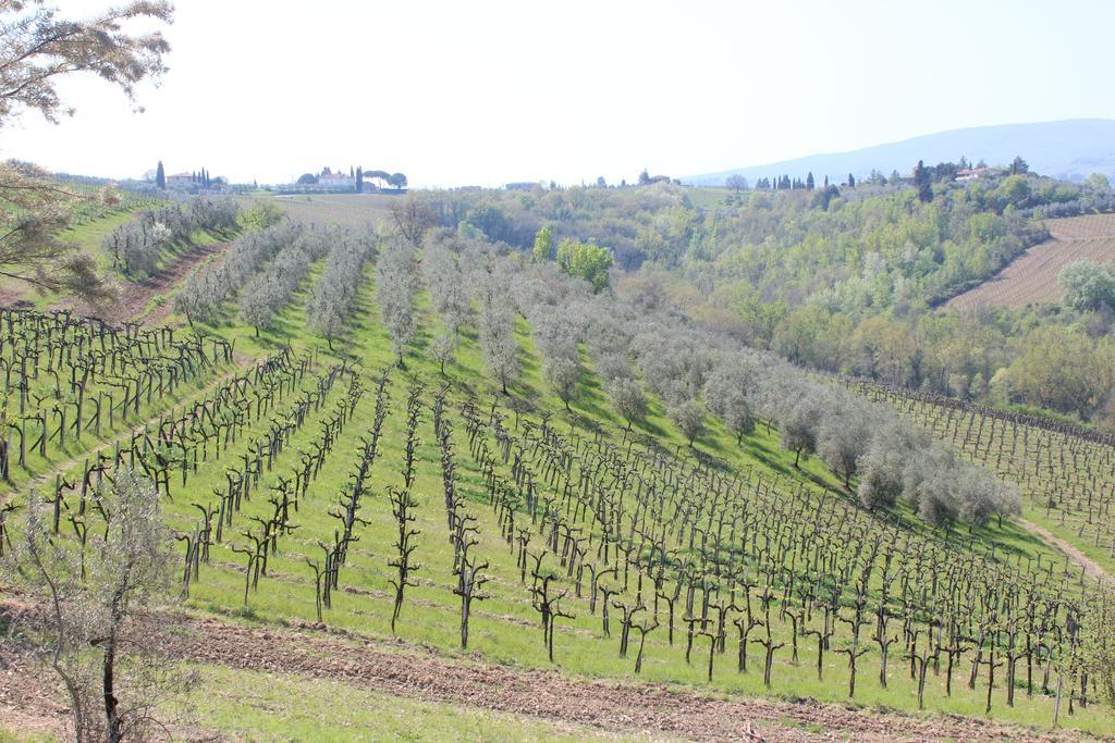 Bio Agriturismo Podere Pretoia Σαν Τζιμινιάνο Εξωτερικό φωτογραφία