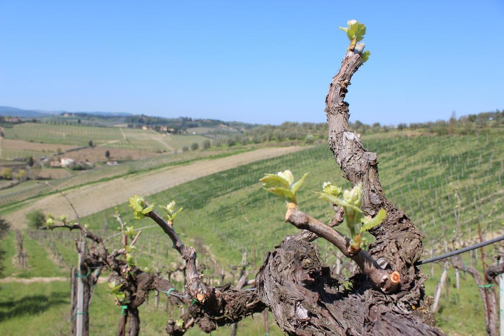 Bio Agriturismo Podere Pretoia Σαν Τζιμινιάνο Εξωτερικό φωτογραφία